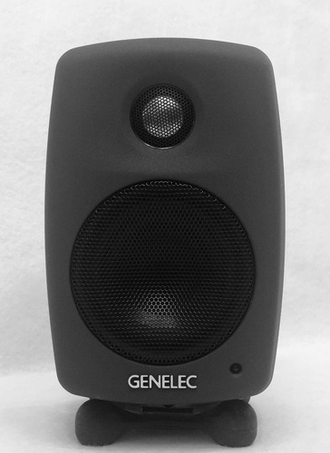 Genelec 6010a Profesional Bi-amplified Monitor Speaker Negro
