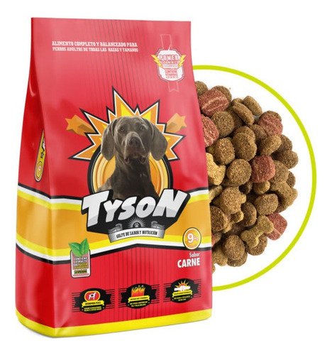 Tyson Perro Adulto 9kg