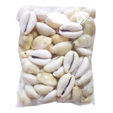 Concha Do Mar Buzios Naturais Pacote 100g 