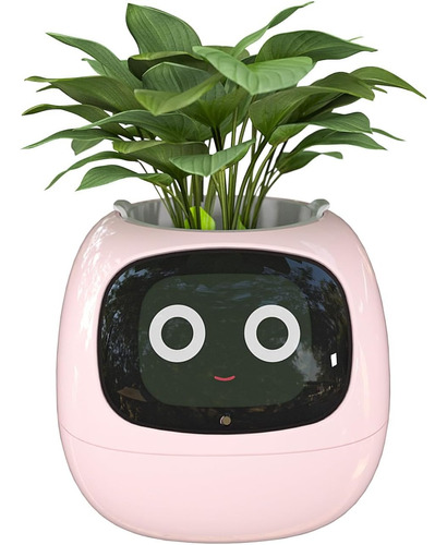 Maceta Robot Con Inteligencia Artificial Plant Ivy Rosa
