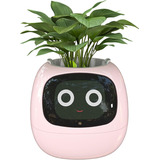Maceta Robot Con Inteligencia Artificial Plant Ivy Rosa