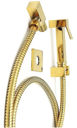 Ducha Higiênica Para Banheiro Em Metal Dourado Gold Glamour