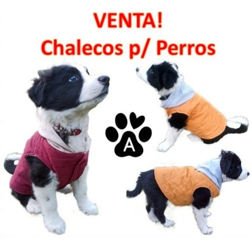 Chaleco Para Perros Talla M