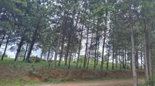 Terreno Bom E Barato