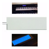 Lampada P/ Display Teclado Korg T1, T2, T3 Frete Gratis