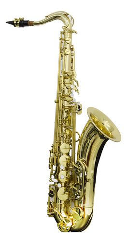 Saxofone Tenor Ts 200 Laqueado Dourado Com Case New York