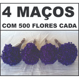 Sempre Vivas Lembrança, Decoração 2.000 Flores