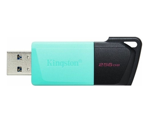 Memoria Usb Kingston Datatraveler Exodia M Dtxm/256gb 1pza