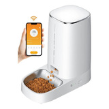 Rojeco Dispensador Automático Comida Gatos Perros 4l