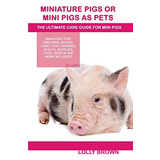Cerdos En Miniatura O Mini Cerdos Como Mascotas Cerdos En Mi