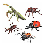 Incluye 5pcs Insectos Modelo De Acción Mantis, Mariquita, Un