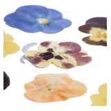 Flores Comestibles Violas Prensadas Orgánica Repostería 