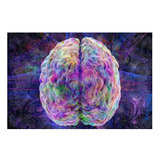 Vinilo 60x90cm Neurona Cerebro De Colores Arte Diseño