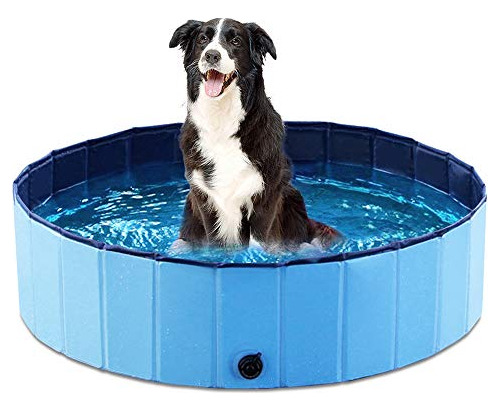 Jasonwell Piscina Plegable Para El Bano De Mascotas, De Perr