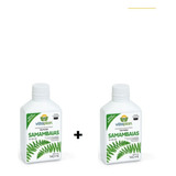 2 Frascos Fertilizante Foliar Samambaia 12-08-06 Concentrado