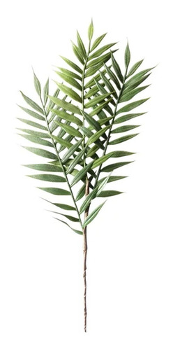 Hoja De Palmera 40 Cm Decoracion Pack Unitario