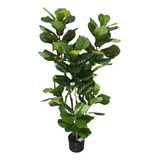 Ficus Lyrata Planta Arvore Artificial Toque Real Realista