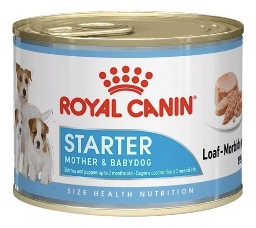 ** 12 ** Latas Starter Mousse 145g Royal Canin