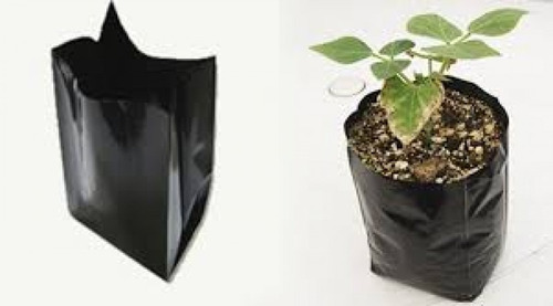 Bolsas Plantas 20x20 En Pack 400 Unidades 0.8mm Resistentes