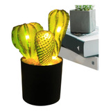 Y Linterna Decorativa De Cabecera De Cactus De Planta