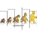 Cuadro Decorativo 5 Piezas La Evolucion De Homero