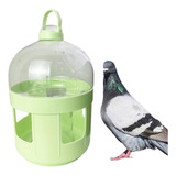 Alimentador De Palomas De Alimentacion De Aves Agua 2l Dispe