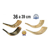 Shofar De Chifre De Carneiro De Israel/malhado 35-39 Cm