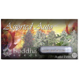 Assorted Auto X10 Buddha Seed 