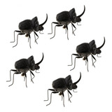 6 Decoración De Insectos Realista