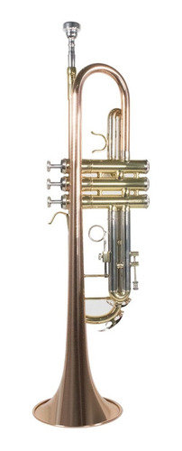 Trompeta Wesner Str1100-g Laqueado Dorado Con Estuche Suave