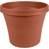 Bloem Jardinera Terra Plastic Pot 6 "terra Cotta