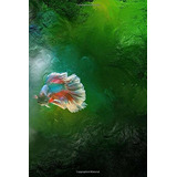 Siamese Fighting Fish Notebook Betta Notebook With 150 Lined