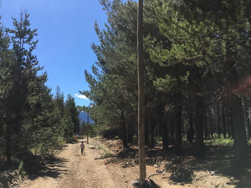 Lotes De 2 Hectáreas En Epuyén, Chubut