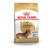 Dachshund (salchicha) Adulto  Royal Canin 3kgs!!