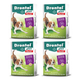 4 Drontal Plus Carne Cães 10kg Vermifugo 4 Comprimidos Bayer