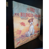 The Dog Who Belonged To No One. Cuento Infantil Inglés. Hest