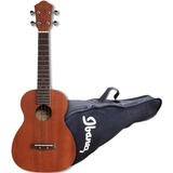 Ukelele Concierto Ibanez Ukc10 Caoba Profesional Con Funda