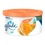 Glade Aromatizante En Gel P/carro - Hogar 70g Flores Silvest