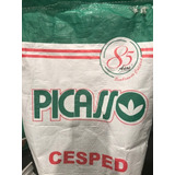 Semilla Ryegrass Perenne Augusta Bolsa 25kg Picasso