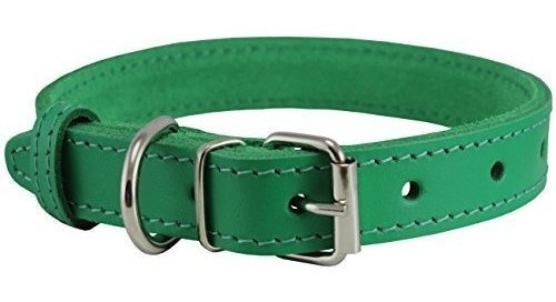 Collar De Perro De Cuero Genuino Verde 7 Tamaños