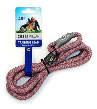 ¿cesar Millan Slip Lead Leash? - Correa Y Collar De Adiestr