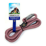 ¿cesar Millan Slip Lead Leash? - Correa Y Collar De Adiestr