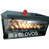 Chocadeira 50 Ovos Automatica  Resistencia Brinde