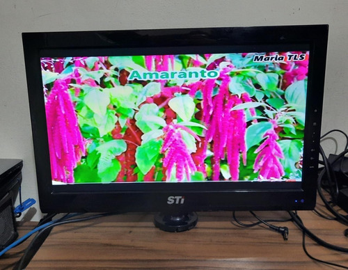 Monitor Sti Semp Toshiba 19 Polegada  Modelo Mle 1950w Vga