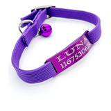 Chapita Gato Color Violeta Pasador + Collar 1 Cm Elastizado
