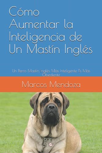 Como Aumentar La Inteligencia De Un Mastin Ingles