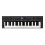 Teclado Roland Go Keys 5 Gt Grafite Com 61 Teclas Sensiveis