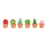 2x6pcs Mini Plantas Suculentas Artificiales Cactus De Resina
