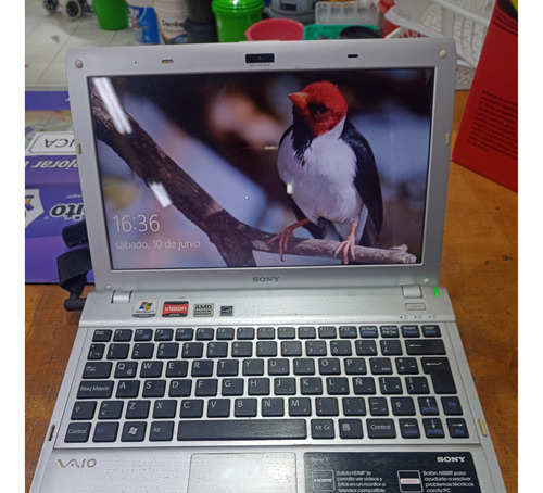 Netbook Sony Vaio Amd Dual 4gb Ram Hdmi 11,6 Leer Desc.