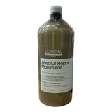 Loreal Shampoo Absolut Repair Molecu - mL a $274000